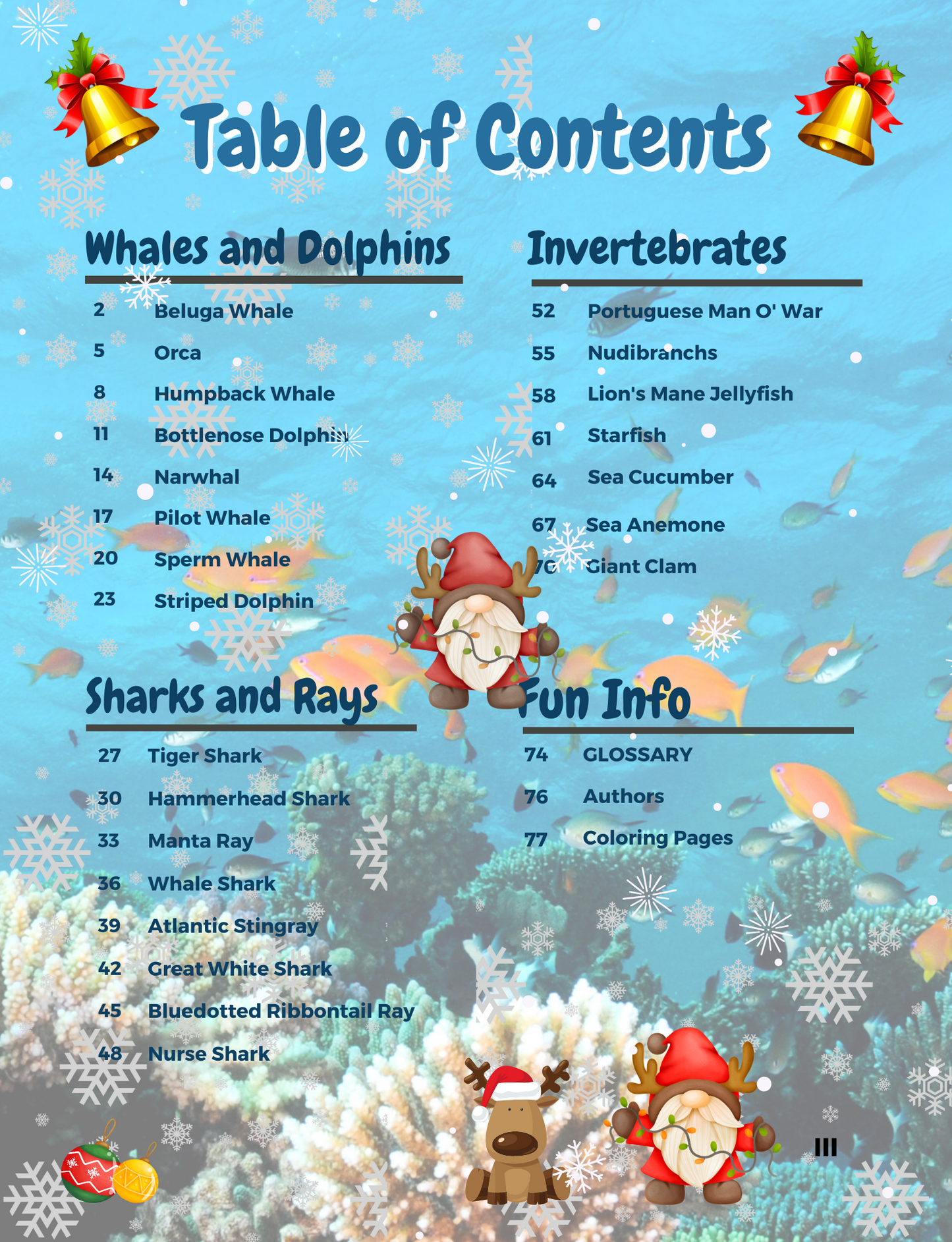 Our Bold Kingdom of Ocean Animals Holiday Special Edition