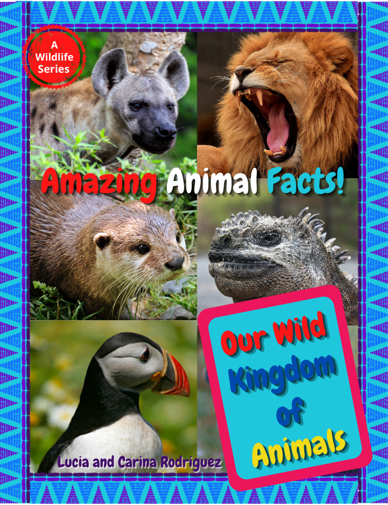 Merch Our Bold Kingdom