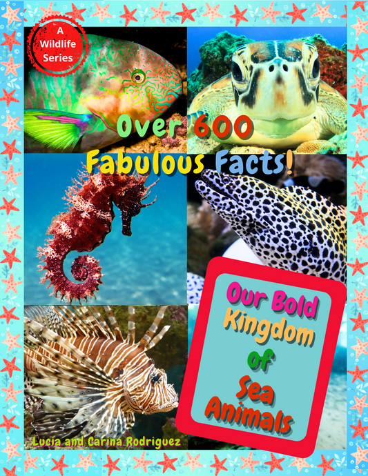 Our Bold Kingdom of Sea Animals (paperback)